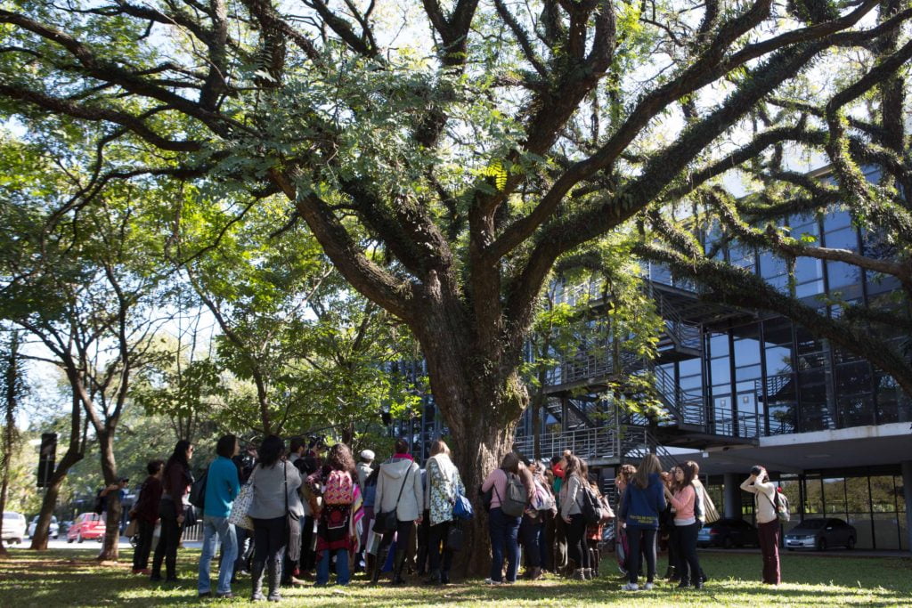 Vivência realizada em São Paulo (Foto: Aline Arruda)