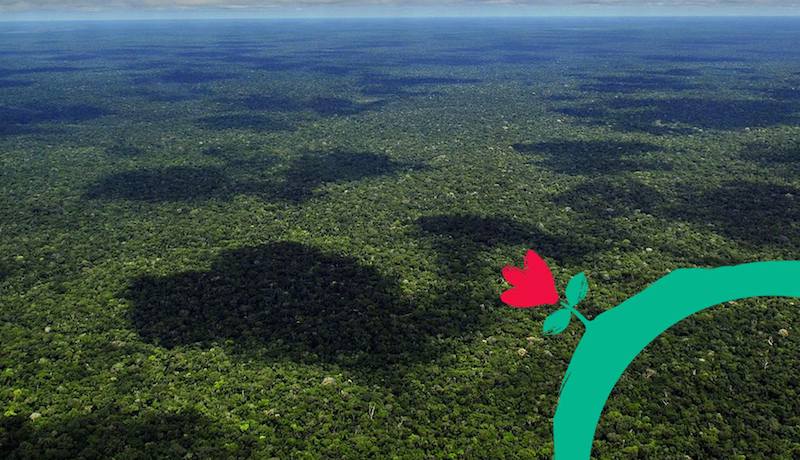 Foto mostra floresta sendo vista pela perspectiva de cima. À direita, símbolo do Believe Earth: um mundo verde e uma flor