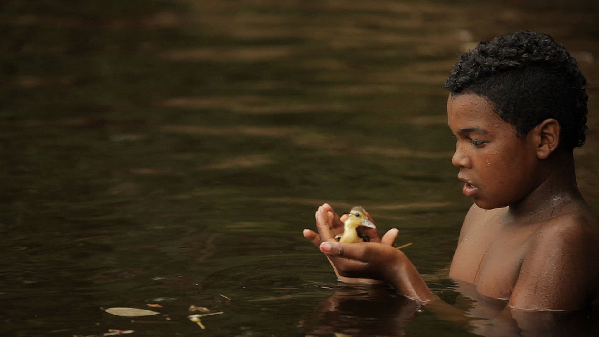 menino negro segura um pato nas mãos. A criança está mergulhada até o peito em um lago.